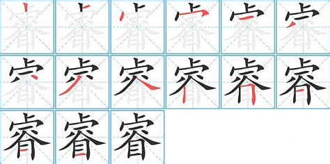 睿的筆劃|睿字笔画、笔顺、笔划